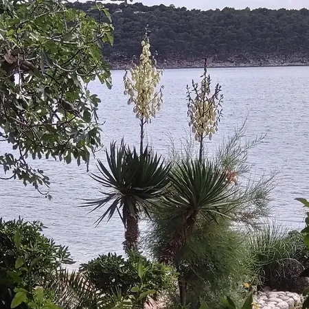 Guest house Palme