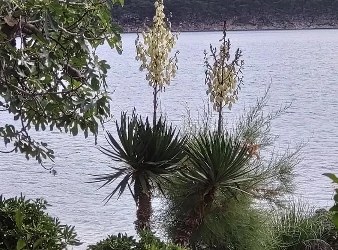Maison d'hôtes Palme