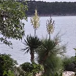 Maison d'hôtes Palme