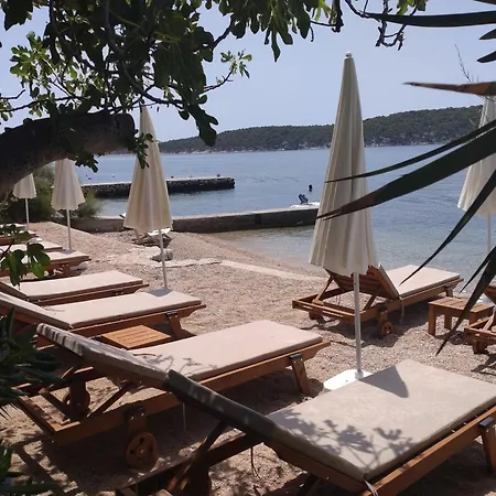 Palme Barbat na Rabu