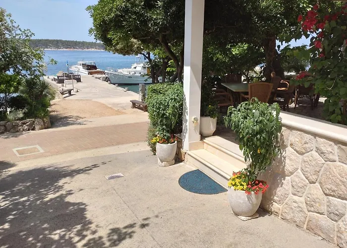 Palme Barbat na Rabu