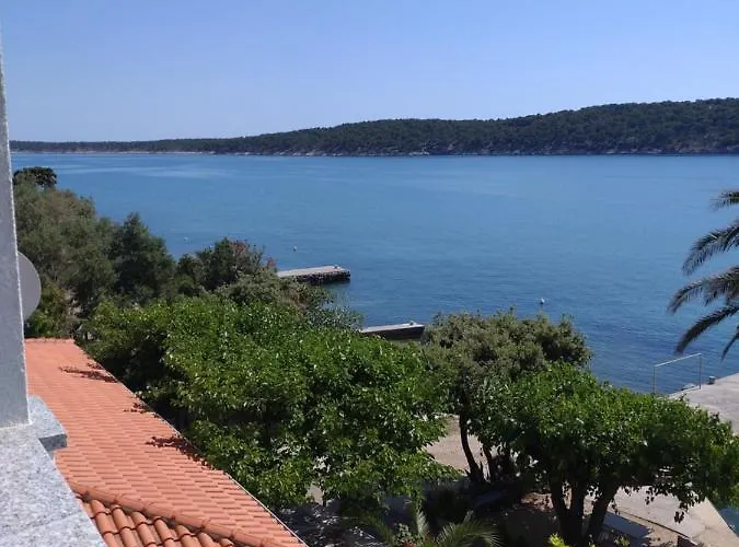 Palme Barbat na Rabu