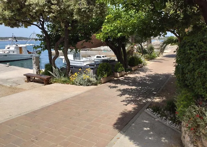 Palme ゲストハウス 3*