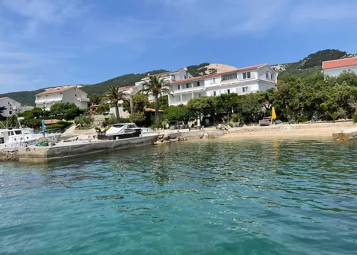 Palme Barbat na Rabu