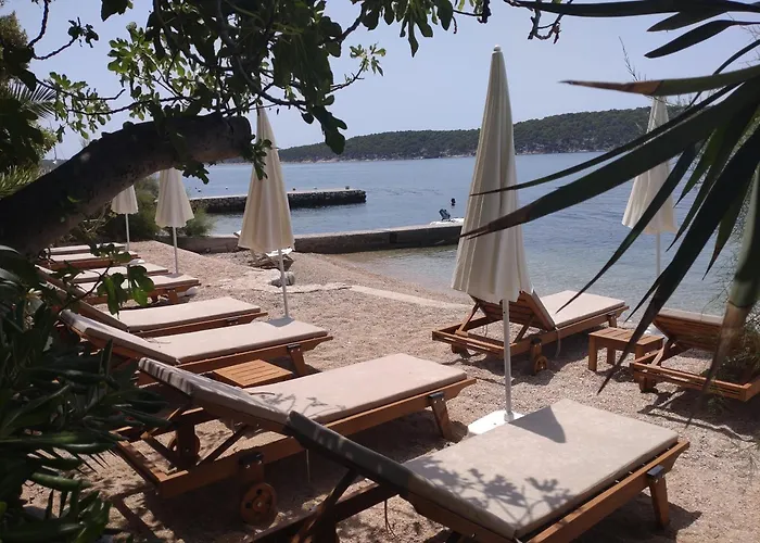 Palme Barbat na Rabu